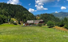 Haus Edlinger Inclusive Murau Sommer Gaeste Card